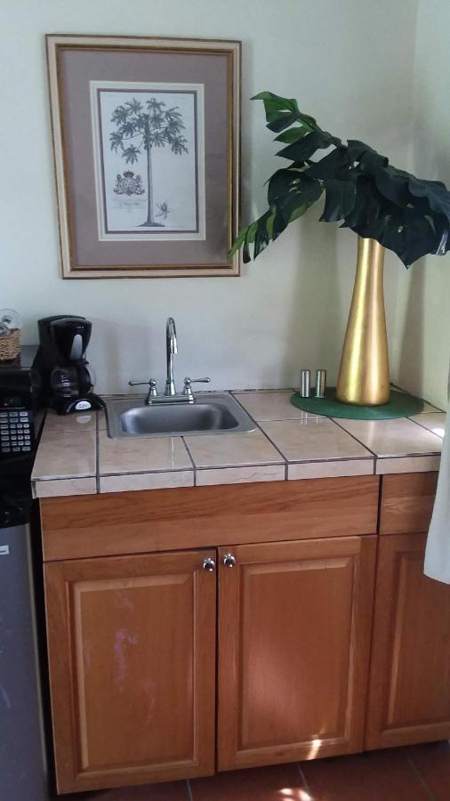 Casa De Tortuga Guesthouse Векес Екстериор снимка
