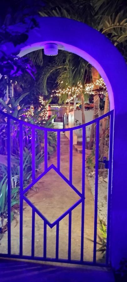 Casa De Tortuga Guesthouse Векес Екстериор снимка